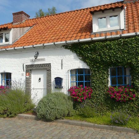 La Quitapenas Villa Ronse Ngoại thất bức ảnh