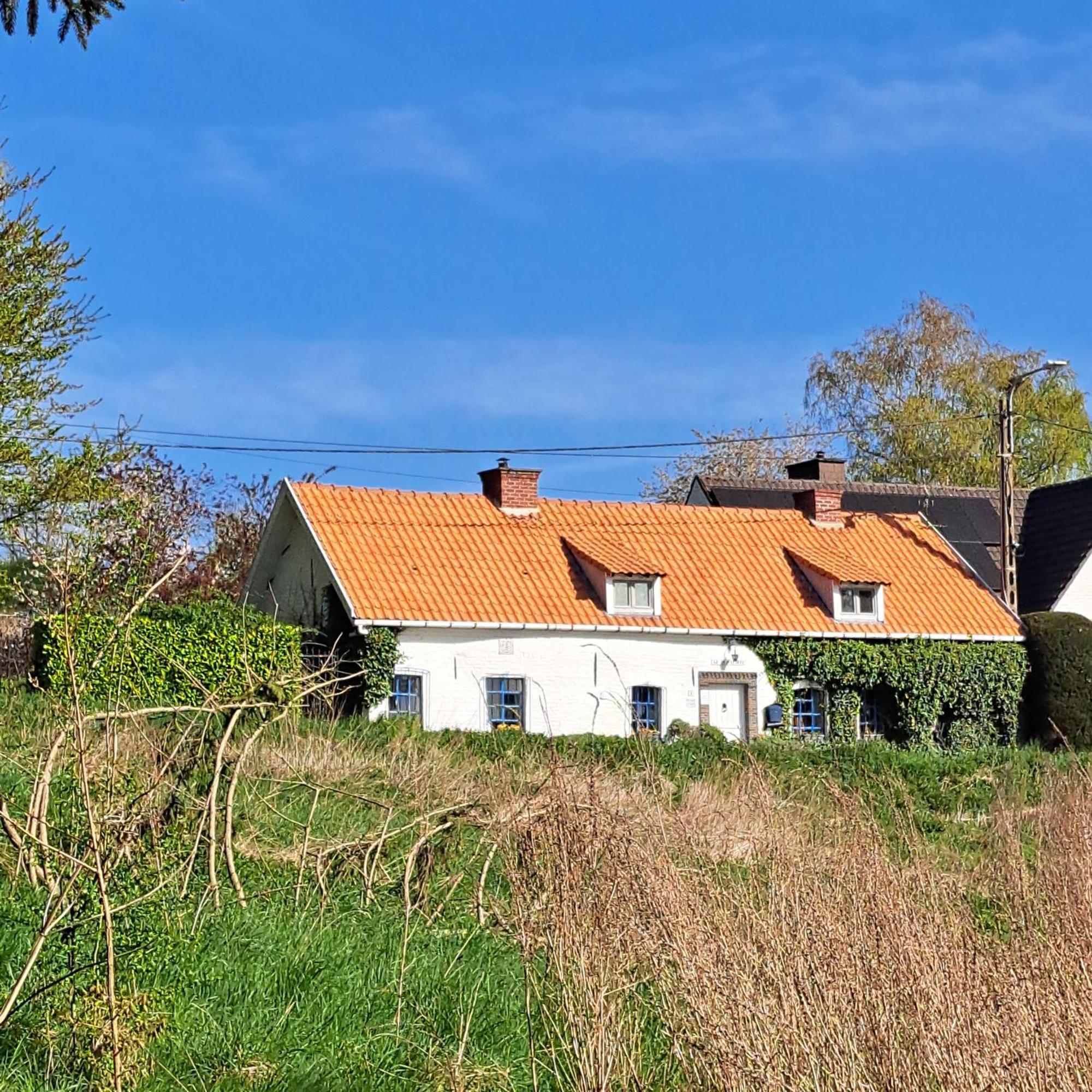 La Quitapenas Villa Ronse Ngoại thất bức ảnh
