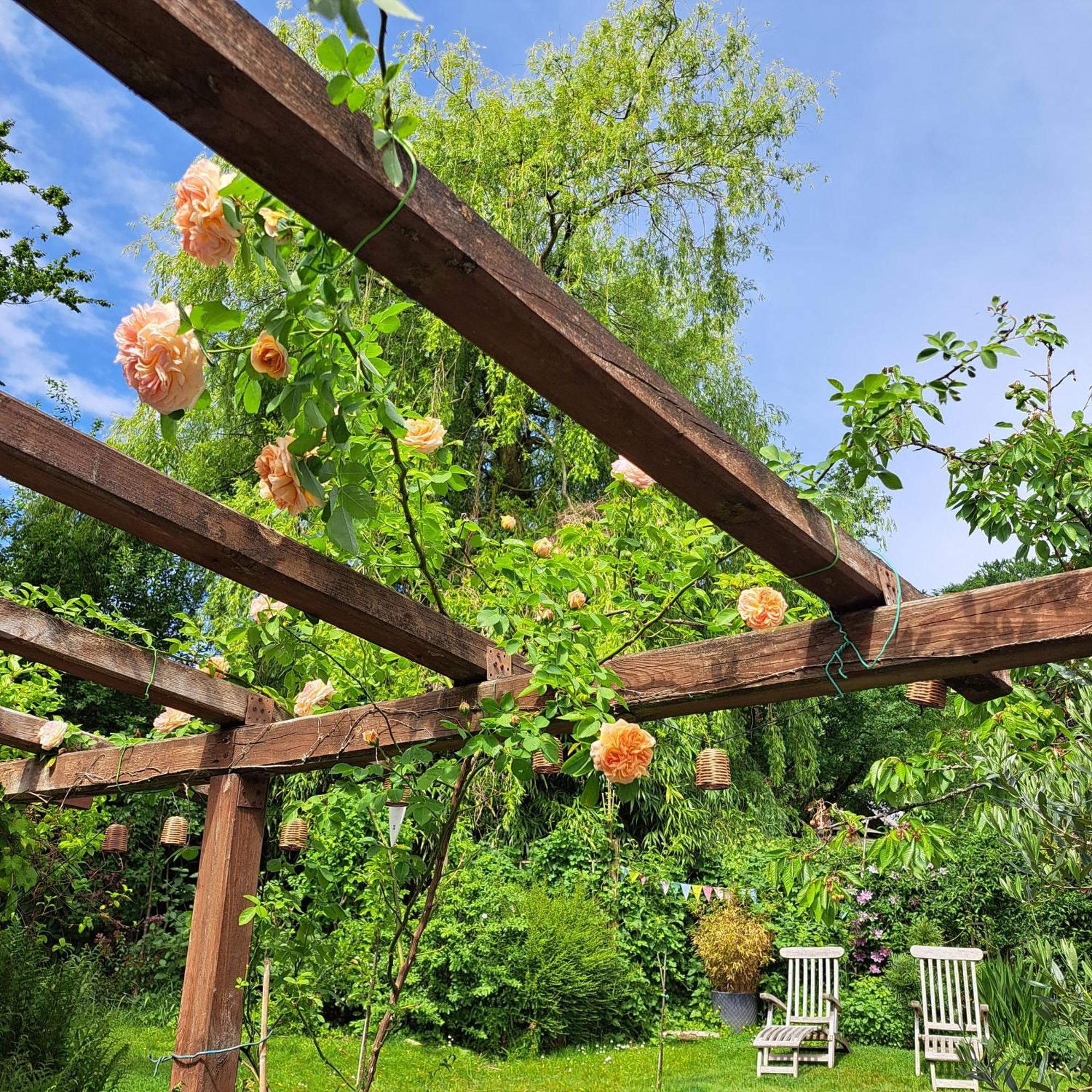 La Quitapenas Villa Ronse Ngoại thất bức ảnh