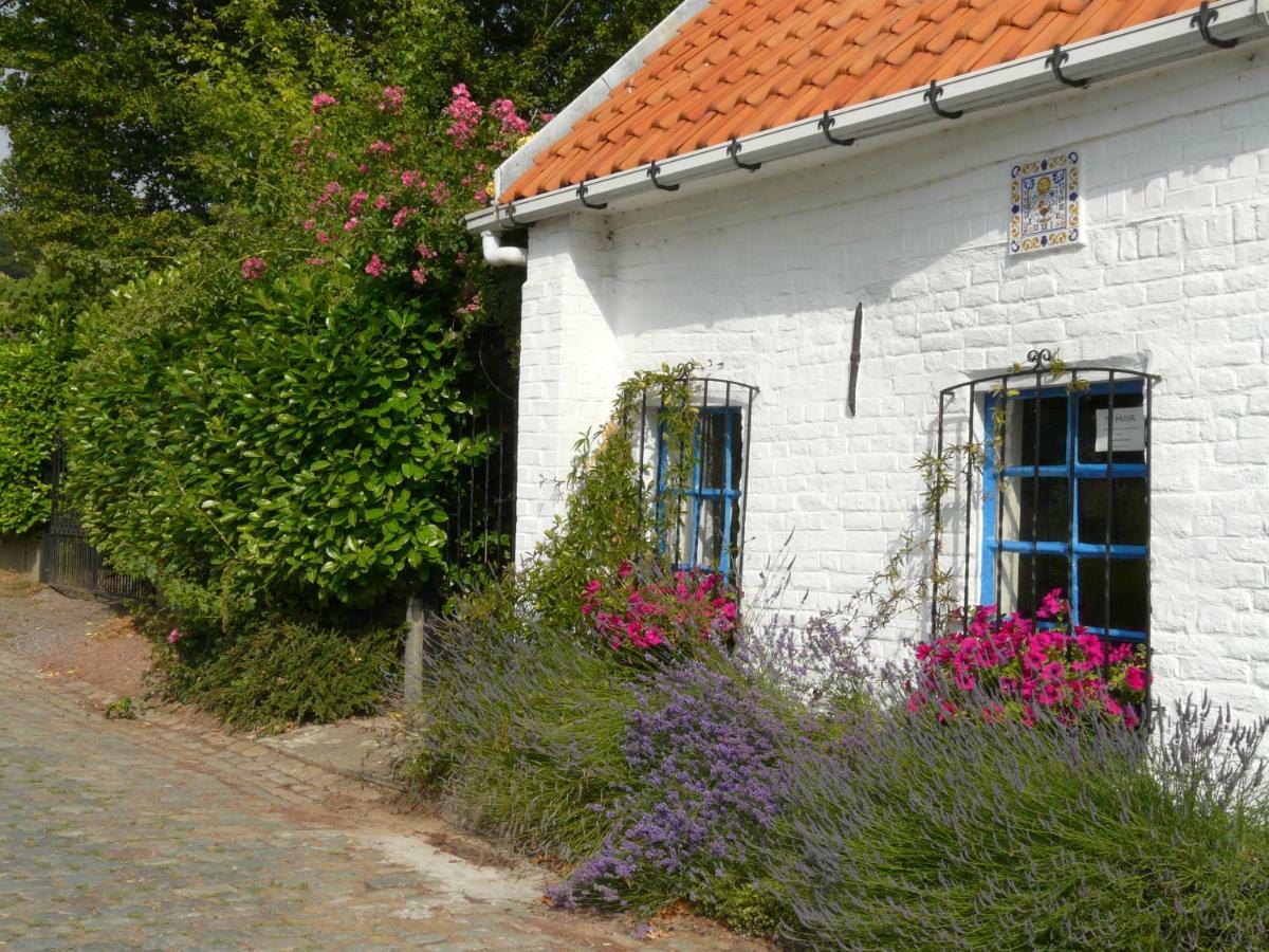 La Quitapenas Villa Ronse Ngoại thất bức ảnh