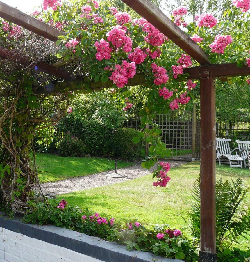 La Quitapenas Villa Ronse Ngoại thất bức ảnh