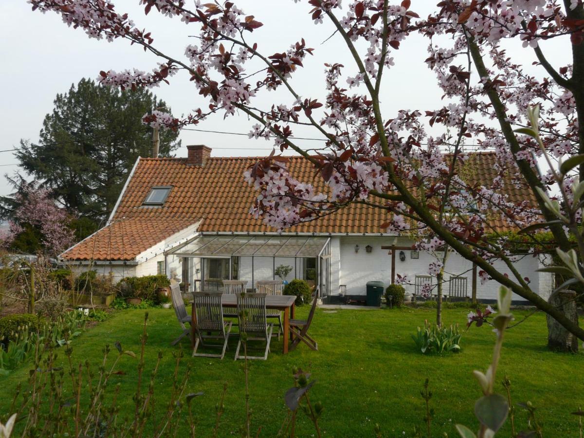 La Quitapenas Villa Ronse Ngoại thất bức ảnh